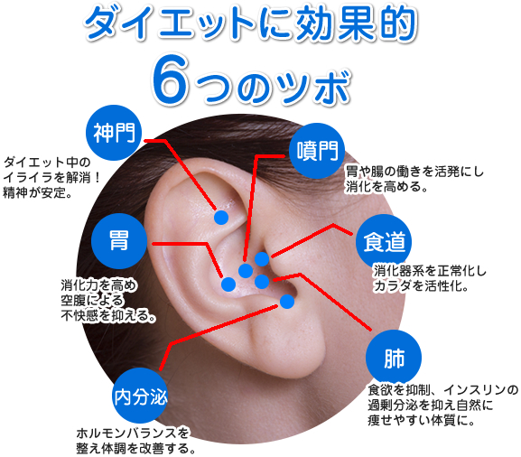 ダイエットに効果的6つのツボ